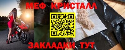 прущие грибы Гатчина