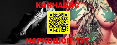 прущие грибы Гатчина