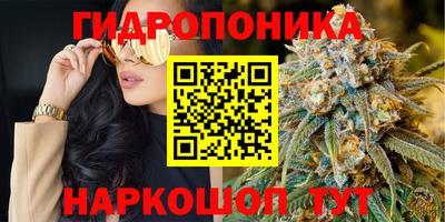 эйфоретик Гай