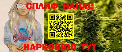 прущие грибы Гатчина