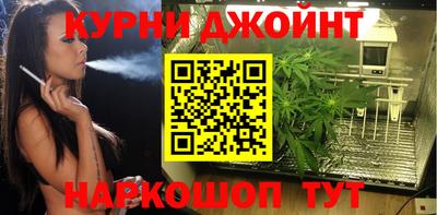 прущие грибы Гатчина