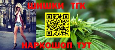 прущие грибы Гатчина