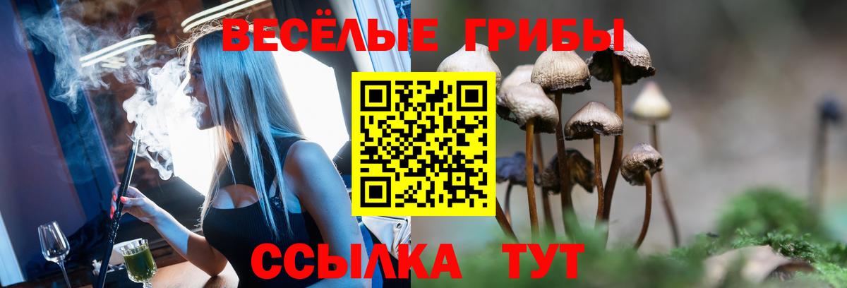 Галлюциногенные грибы мицелий  Вход с VPN  Белогорск 